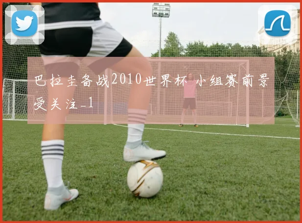 巴拉圭备战2010世界杯 小组赛前景受关注_1